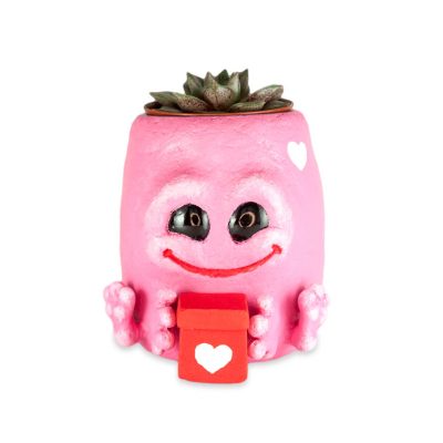 copertaiubarelcucutiutamare