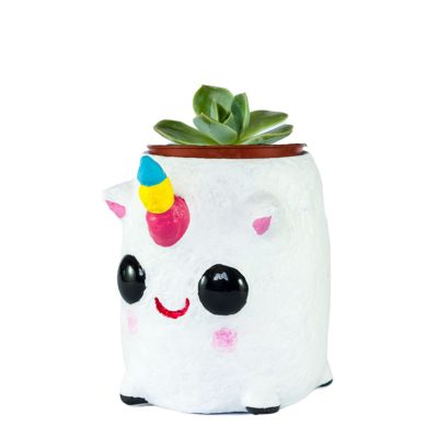 unicorn-planta-mica-profil